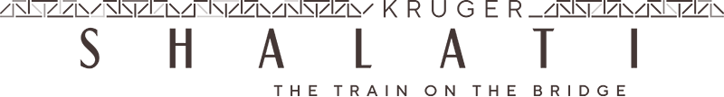 Kruger Shalati UI/UX webdesign logo